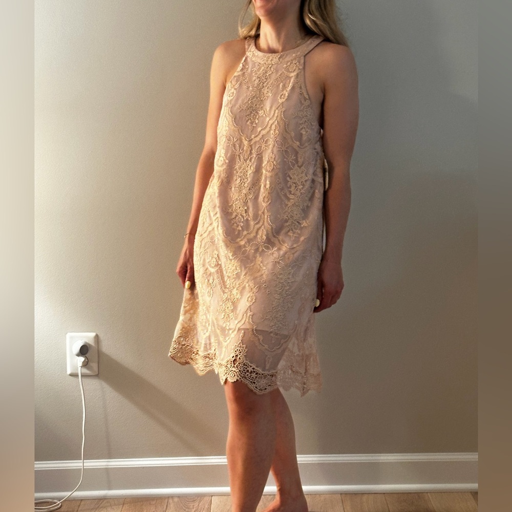 Altar'd State Lace Shift Dress in Blush